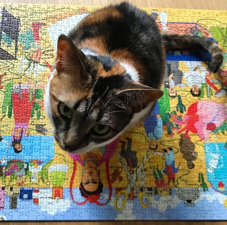 Calico Cat sitting on top of a Frida Kahlo puzzle